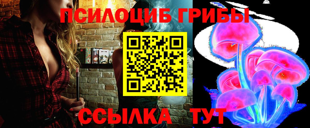 Димитровград  Псилоцибиновые грибы мицелий  Вход с VPN 